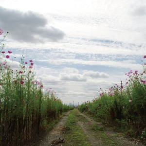 人妻熟女视频二区视频一区
