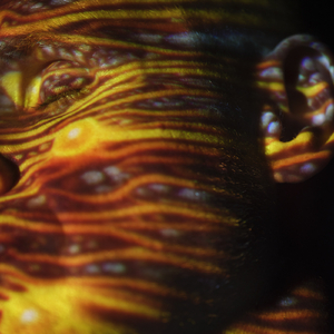 人妻熟女视频二区视频一区
